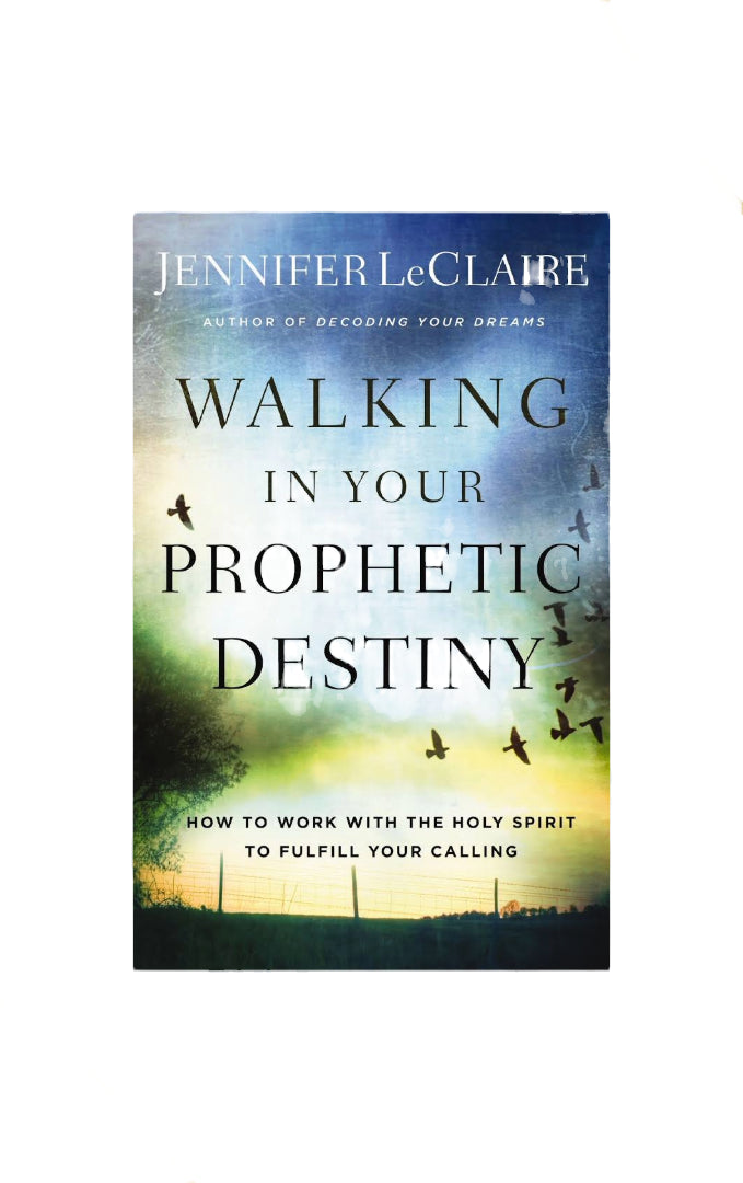 Walking in Your Prophetic Destiny, How to Work with the Holy Spirit image 0