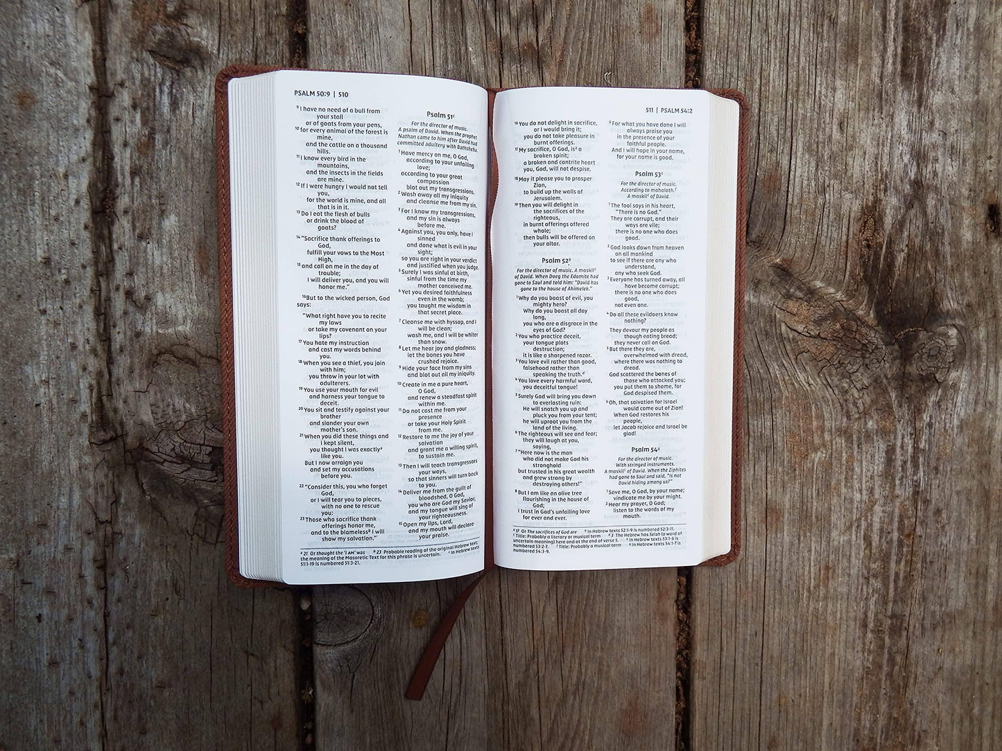 NIV, Pocket Bible, Red Letter Edition, Thinline Brown image 1