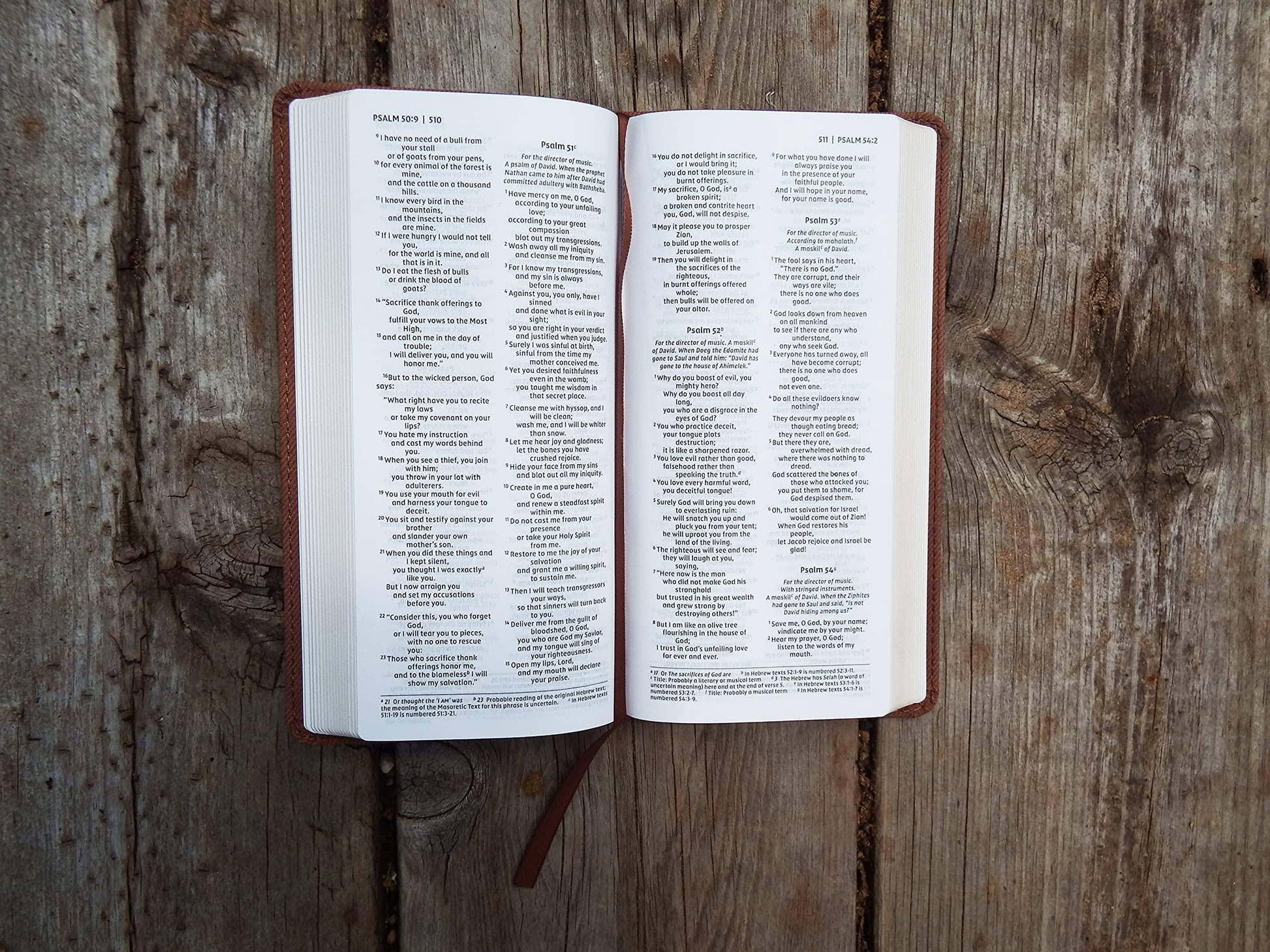 NIV, Pocket Bible, Red Letter Edition, Thinline Brown image 1