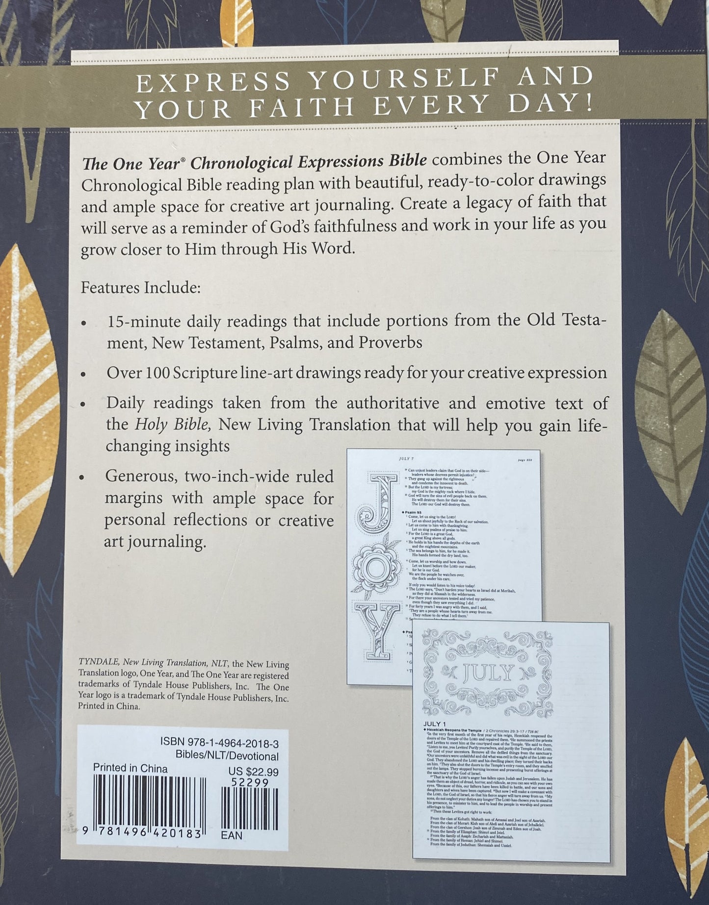 One Year Chronological Bible, Creative Expression, Cream Softcover image 1