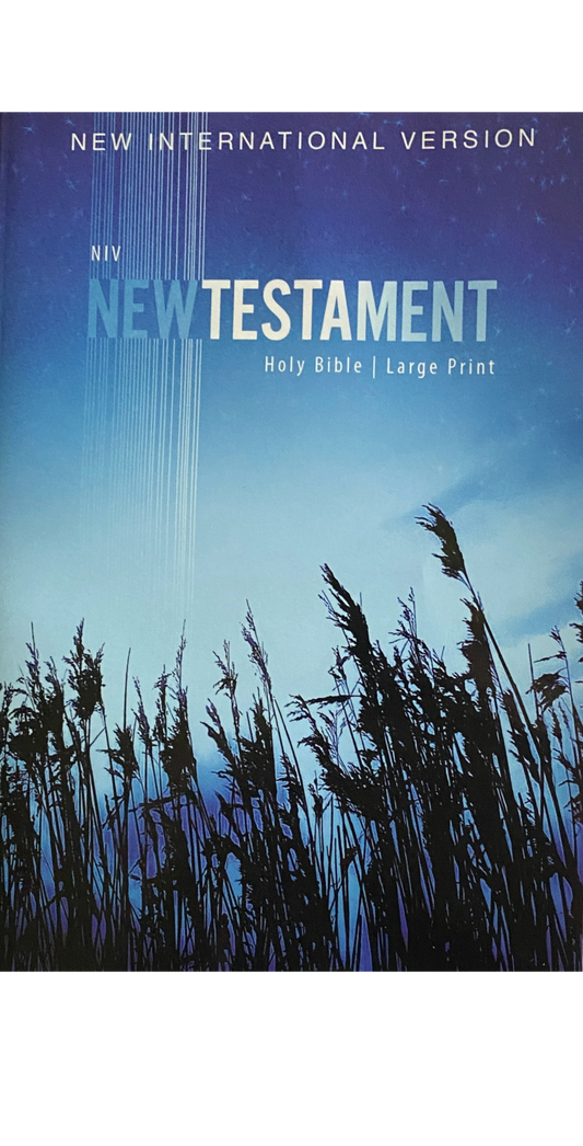 NIV Outreach New Testament Bible, Large Print, Paperback image 0