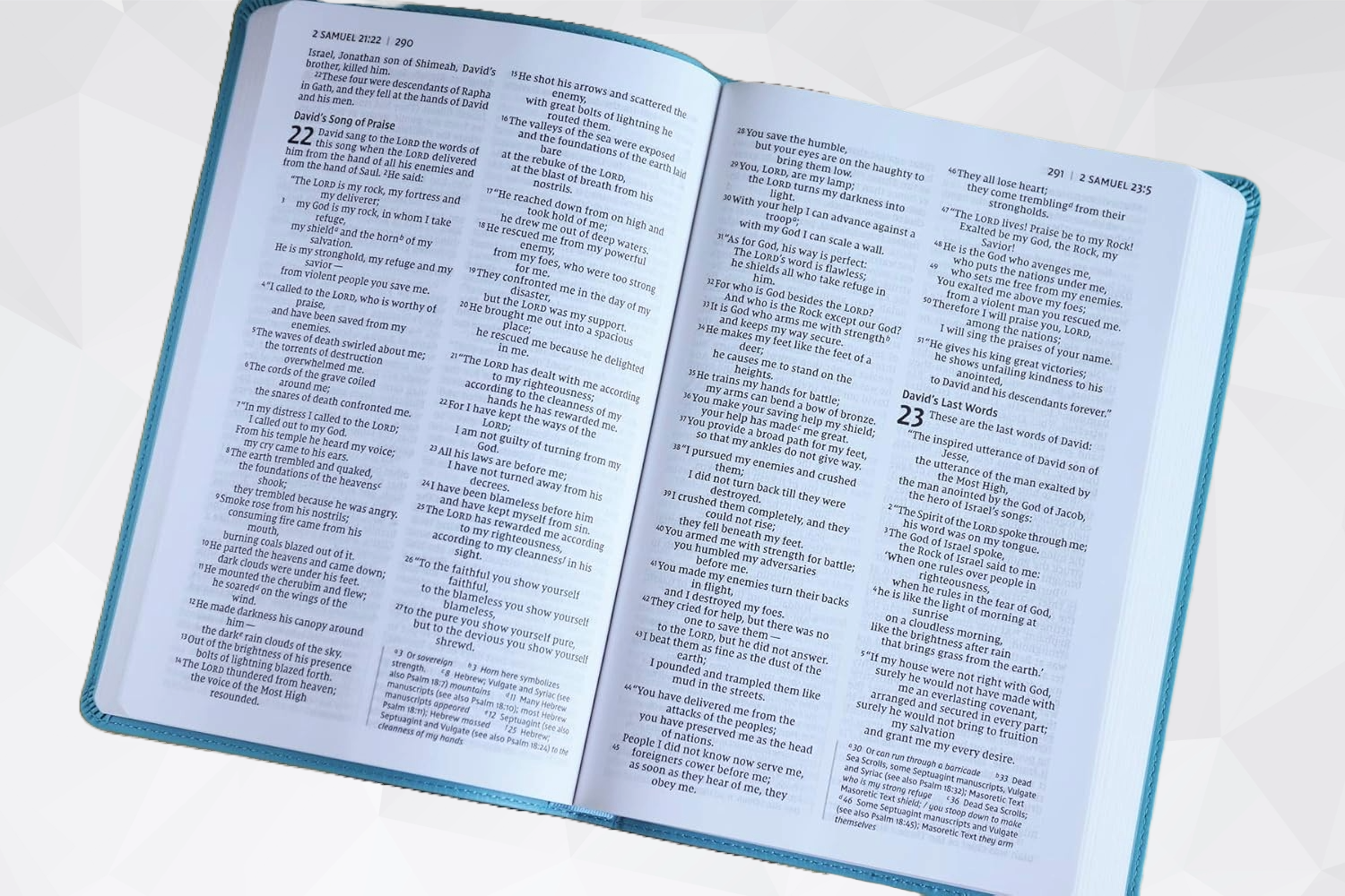 NIV Value Thinline Bible, Large Print, Leathersoft Teal image 2