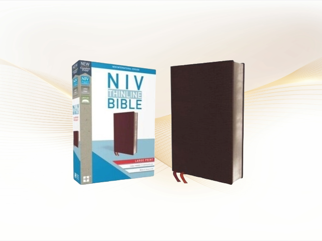 NIV Large Print Bible: Bonded Leather, Burgundy, Red Letter Edition image 0