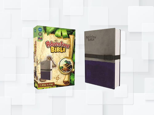 NIV, Adventure Bible, Gray/Blue Leathersoft Full Color Edition-Zondervan image 0
