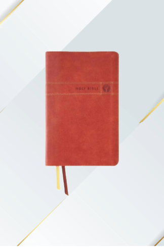 NIV Men's Devotional Bible, by Men For Men Leathersoft Brown image 0