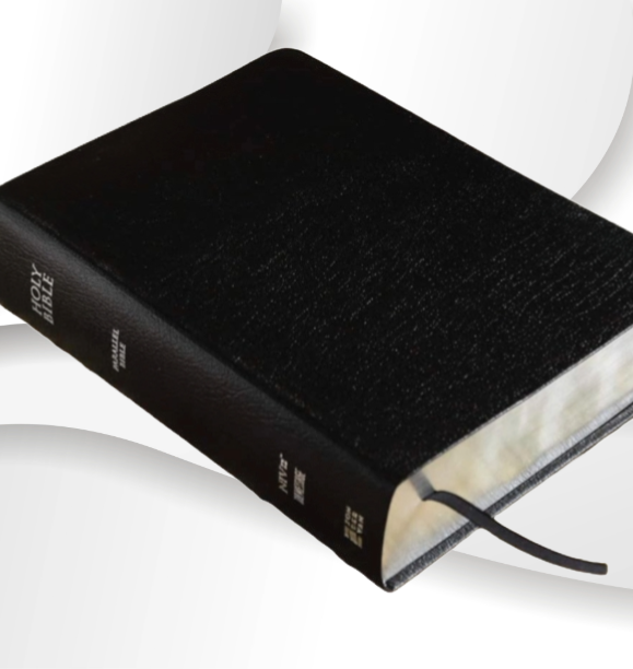 NIV, The Message, Parallel Bible, Large Print, Bonded Leather, Black image 3