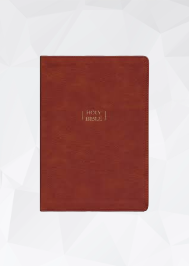 NIV Wide Margin Bible, Note Space, Leathersoft, Comfort Print image 2